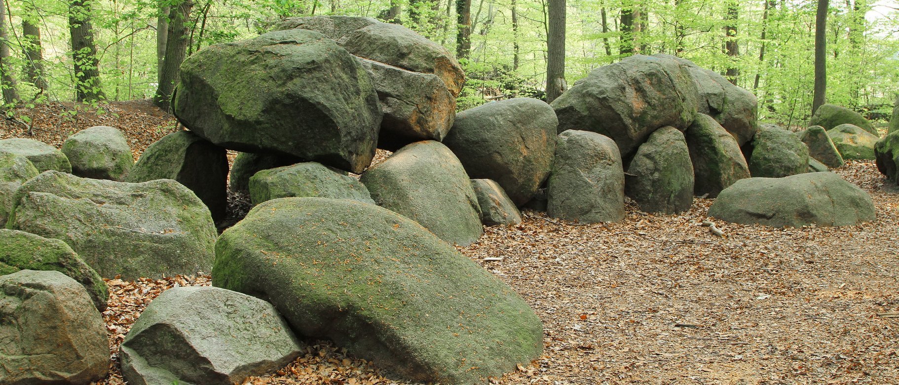 Wersen_Große_Sloopsteine_Foto_Wolfgang_Johanniemann.JPG